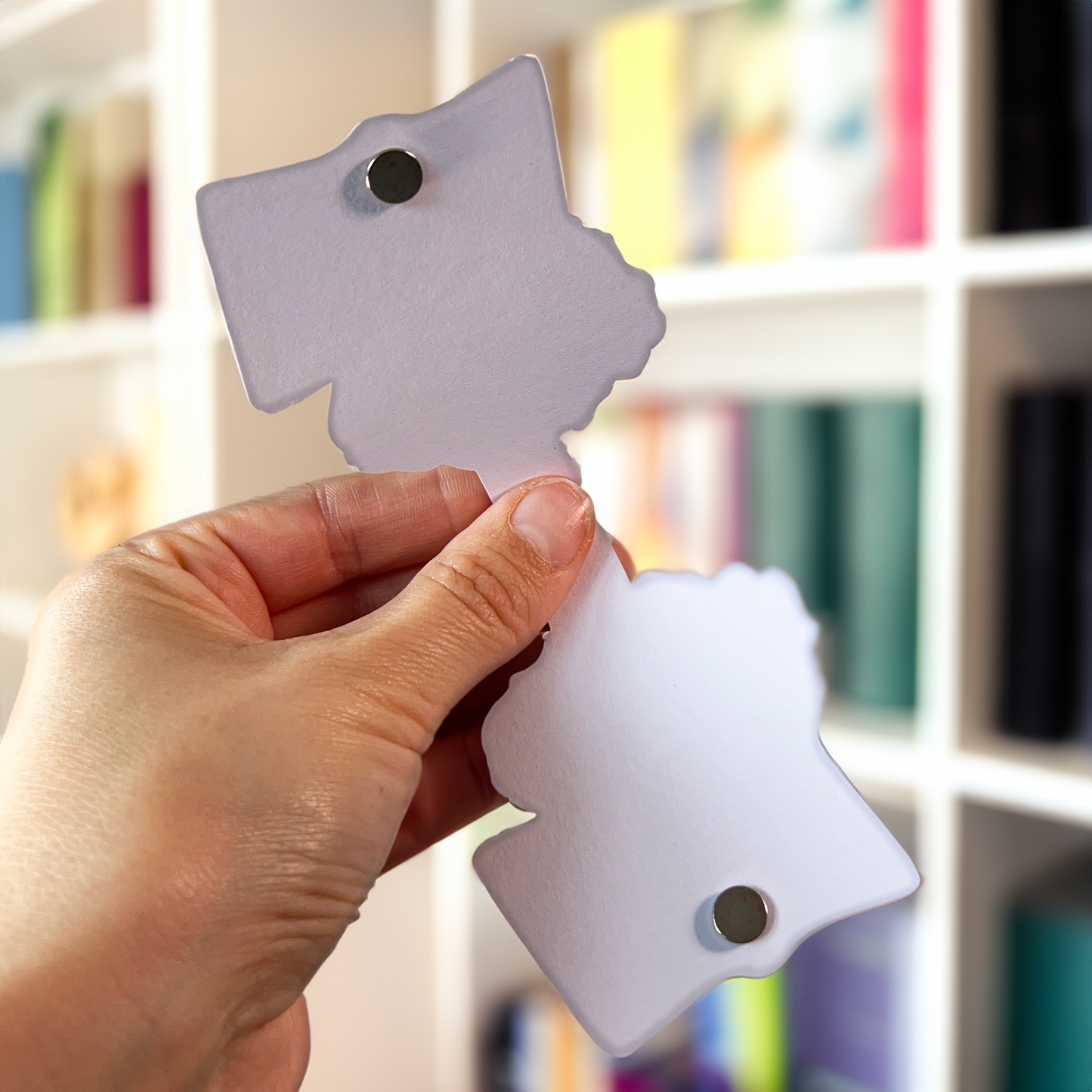 The Mystery Magnetic Bookmark