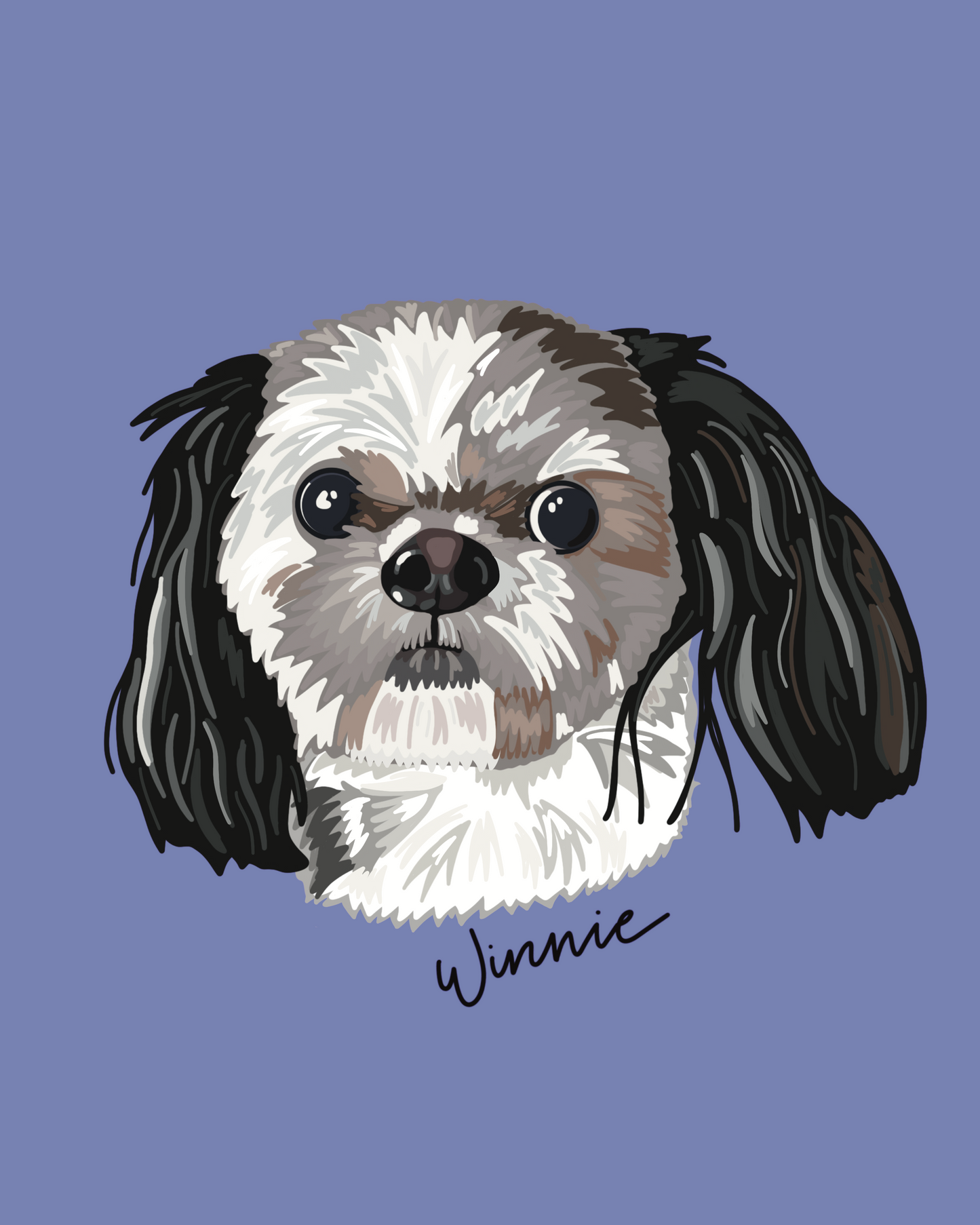 The Digital Portrait